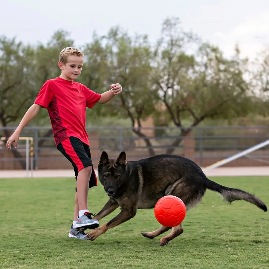 Jolly Pets - Soccer Ball 6" og 8" - Image 3