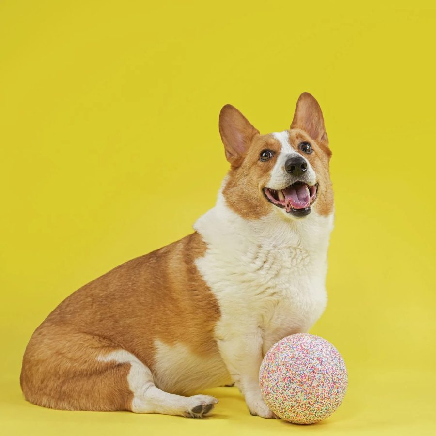 Jolly Bean Soccer Ball - Small 6" - Image 2