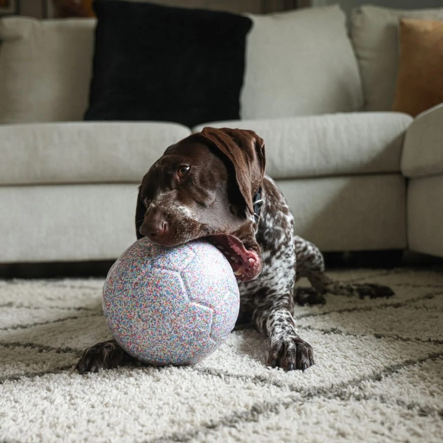Jolly Bean Soccer Ball - Small 6" - Image 3