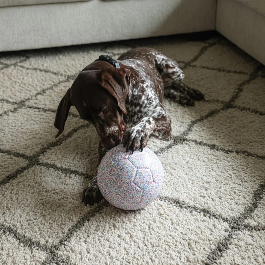Jolly Bean Soccer Ball - Small 6" - Image 4