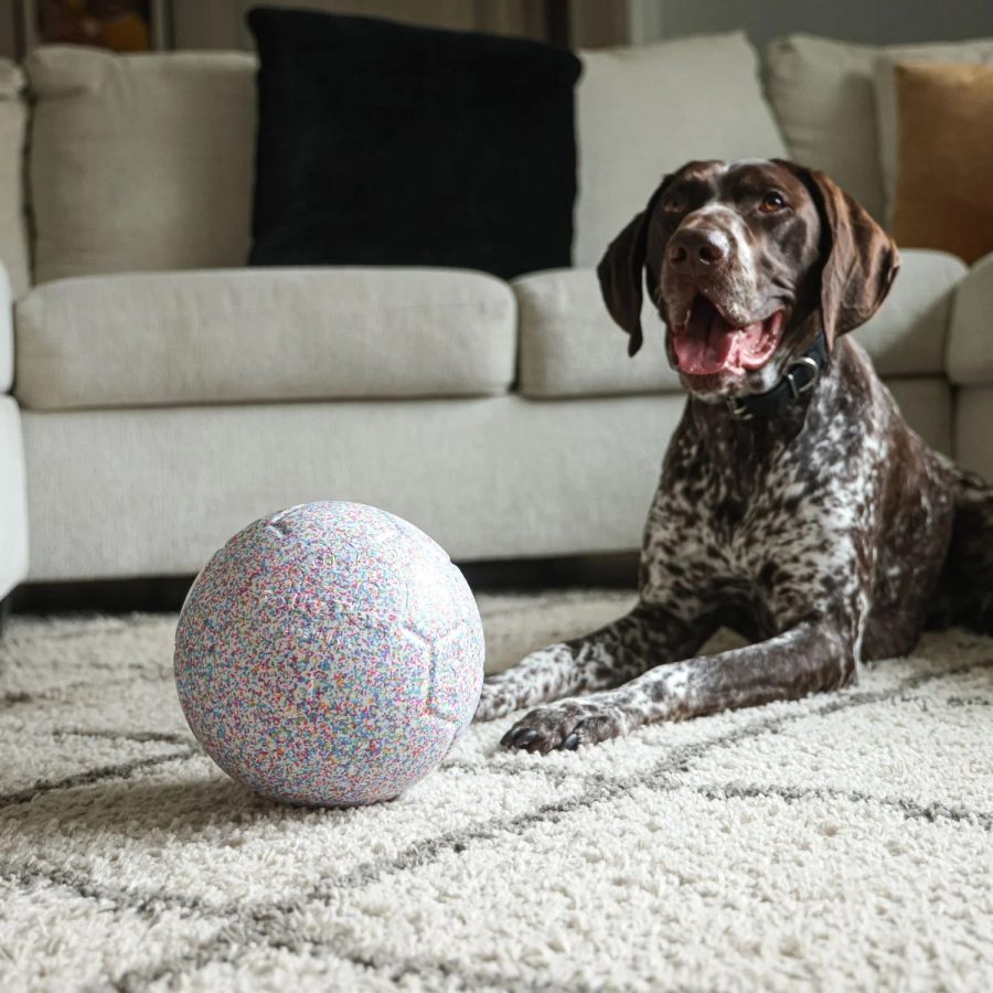 Jolly Bean Soccer Ball - Small 6" - Image 5