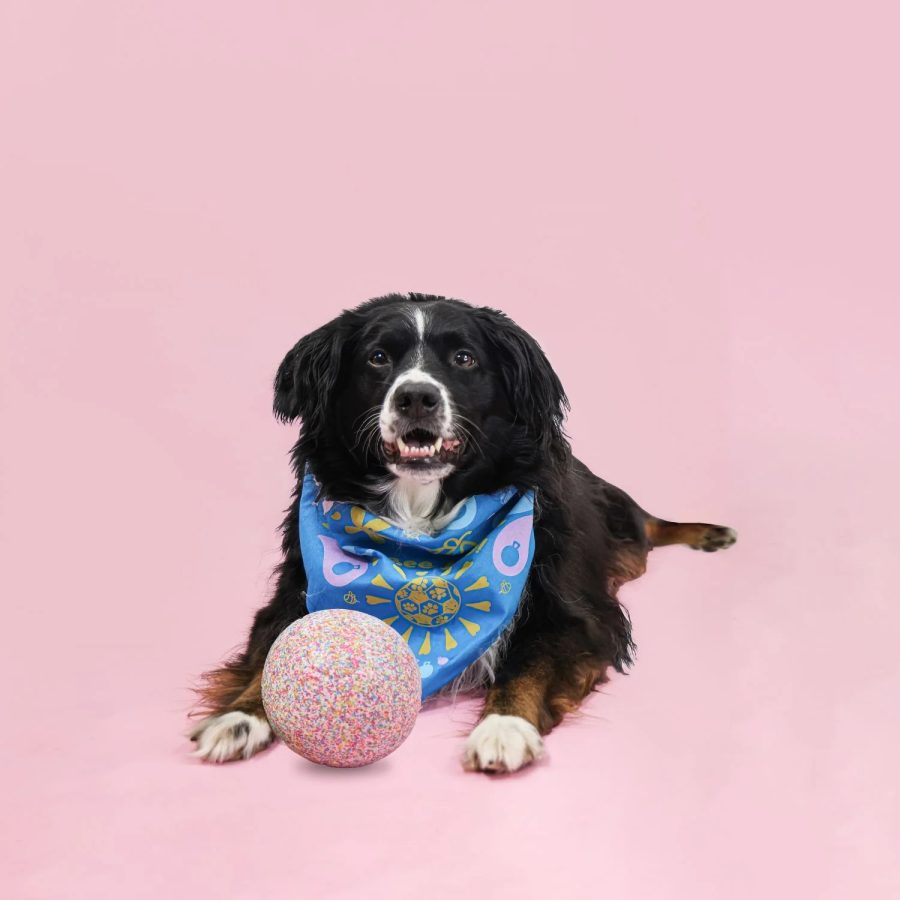 Jolly Bean Soccer Ball - Small 6" - Image 7