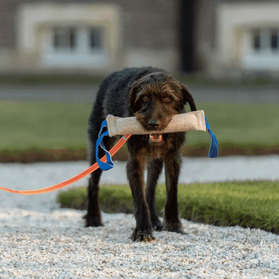 Bite Tug - Hunda leikfang - Image 9