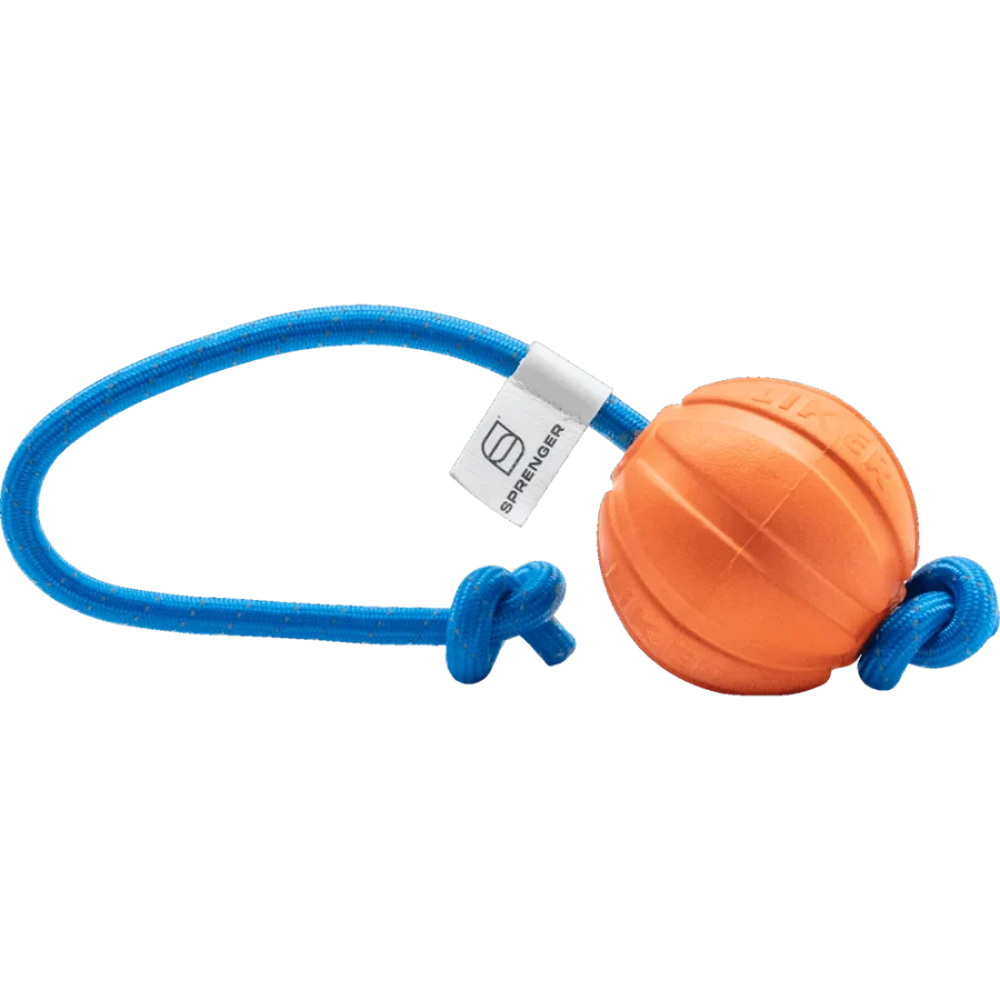 Fun Ball - Hunda bolti - Image 10