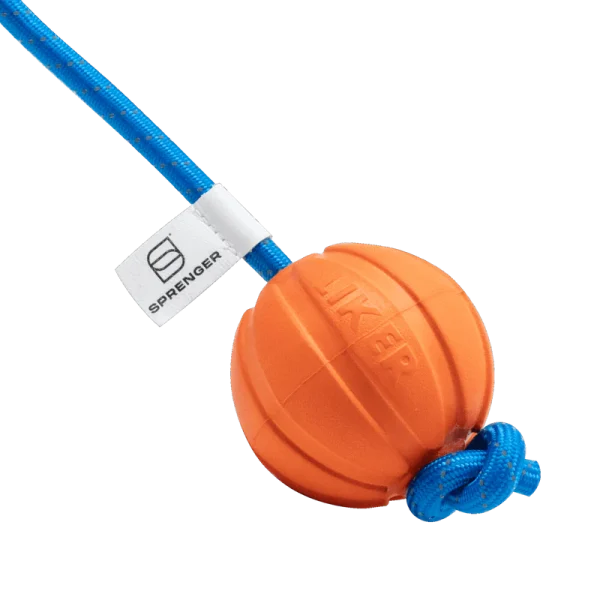 Fun Ball - Hunda bolti