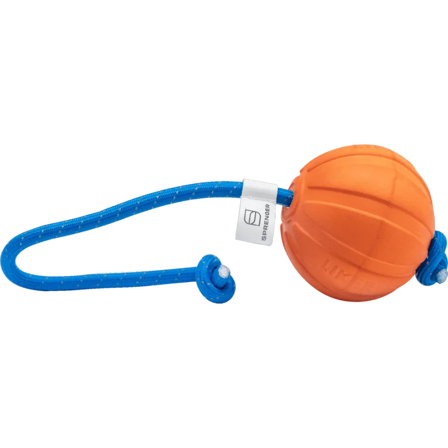 Fun Ball - Hunda bolti - Image 5
