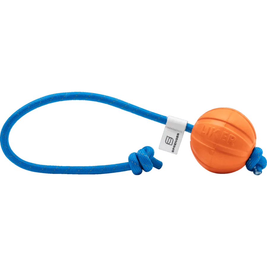 Fun Ball - Hunda bolti - Image 3