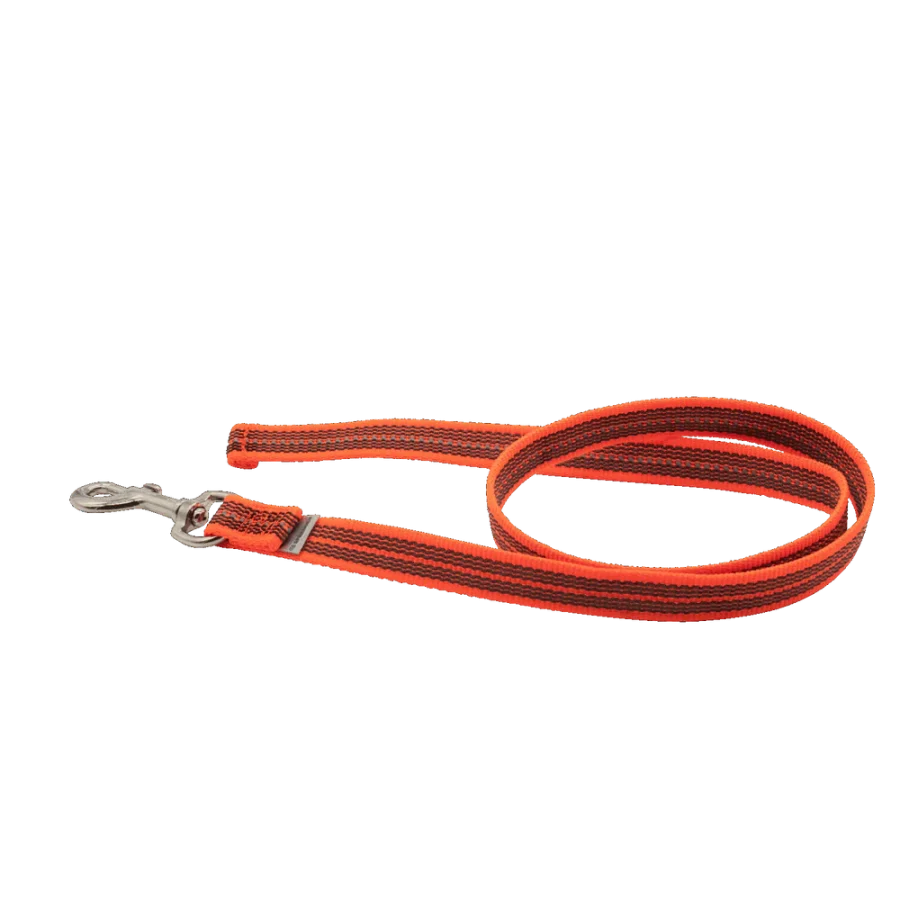 Rubberized leash hálsól án handfangs 2 m