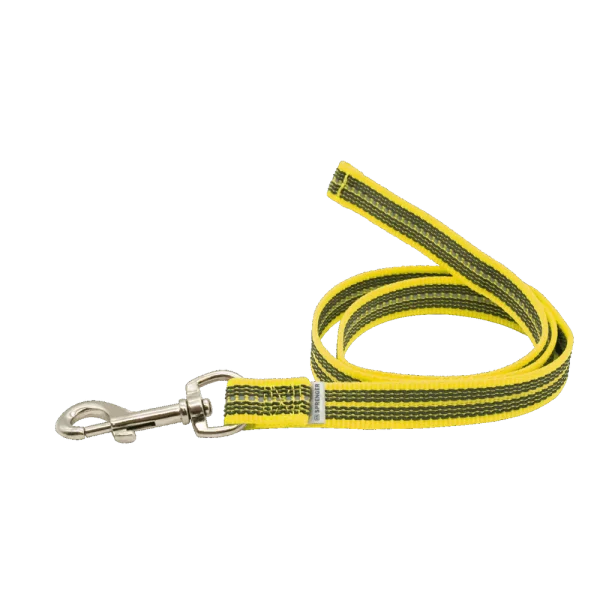 Rubberized leash hálsól án handfangs 3 m