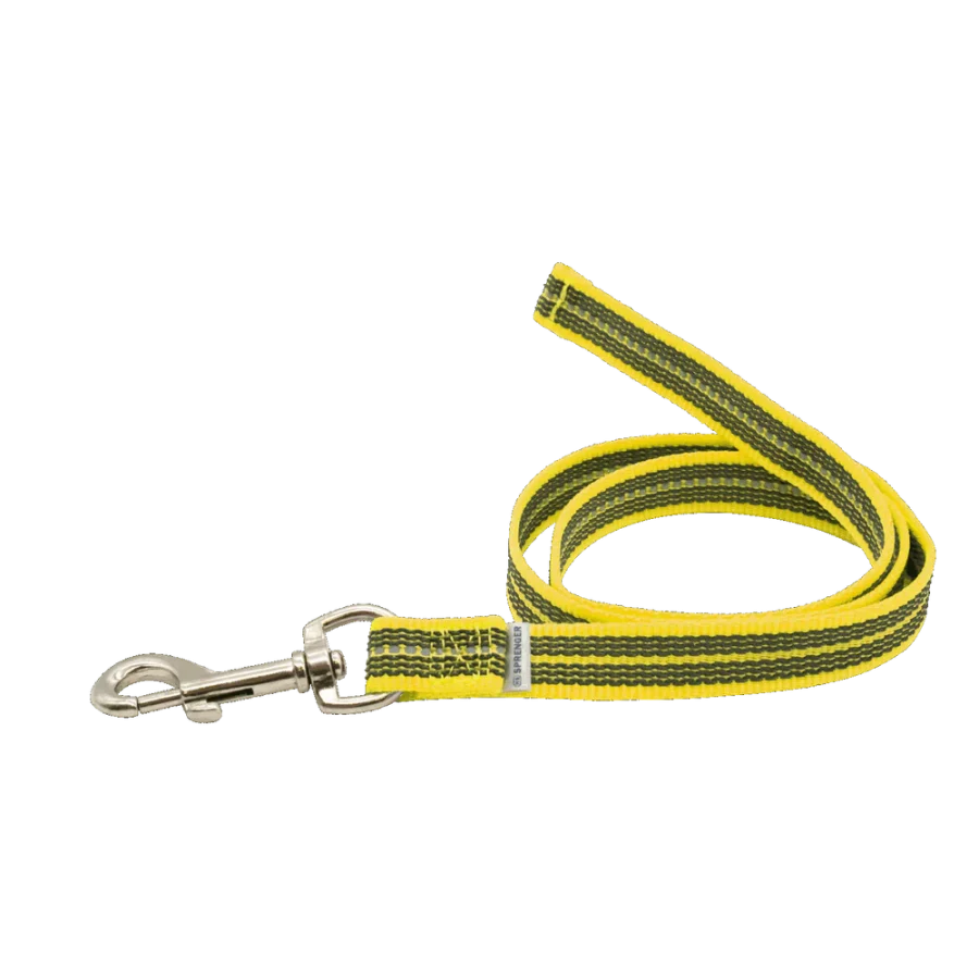 Rubberized leash hálsól án handfangs 3 m