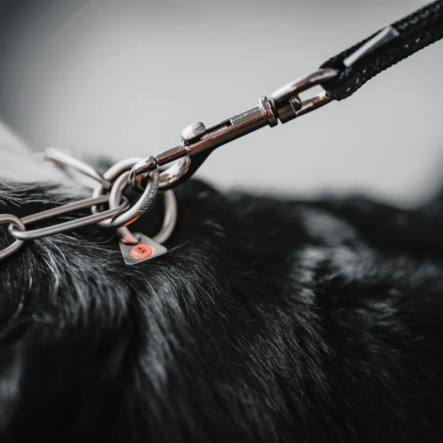 Rubberized leash, 2.5 m 3- fallt stillanleg - Image 10