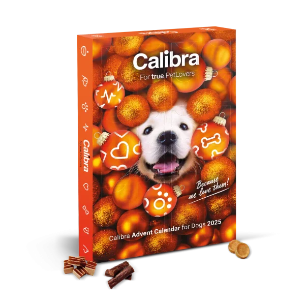 Calibra hunda aðventudagatal