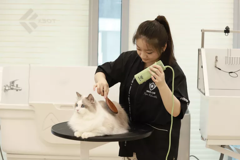 TD-912 handfrjáls blásari - Image 7