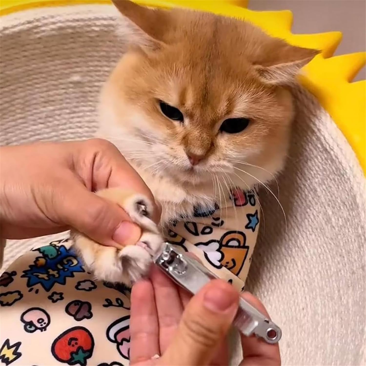 Umvafningar teppi fyrir kisur - Image 5