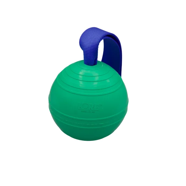 petKORE KOREFlex Bolti með bandi