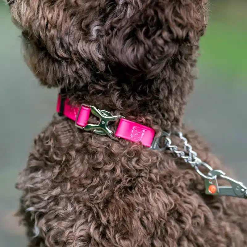 BioThane® Adjustable Martingale Collar 19mm - Image 4