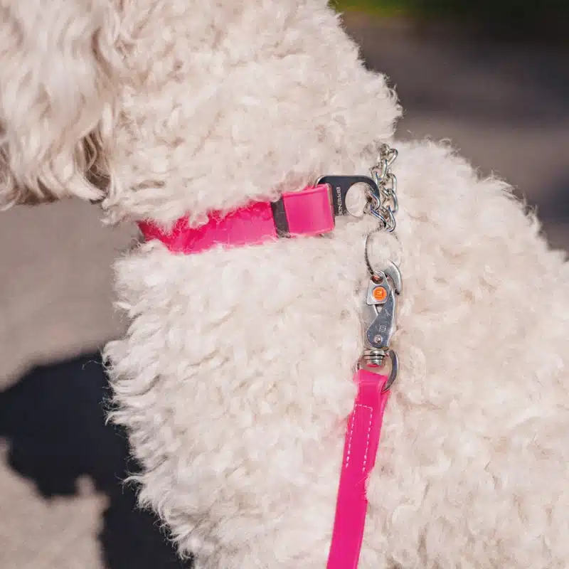 BioThane® Adjustable Martingale Collar 19mm - Image 15