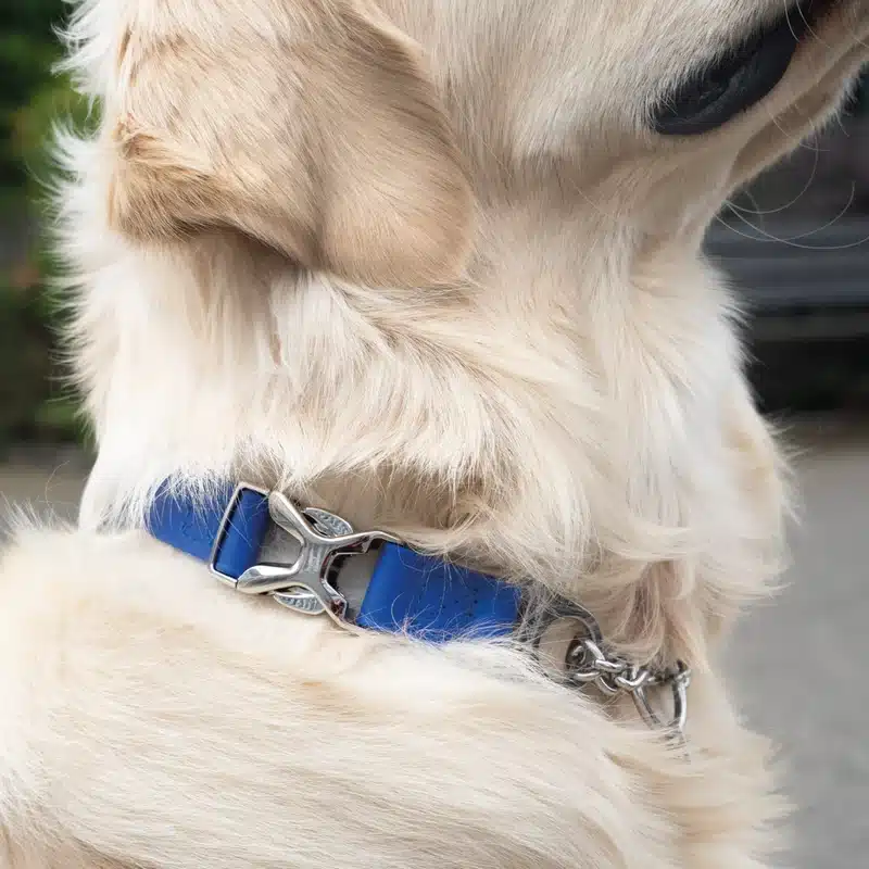 BioThane® Adjustable Martingale Collar 25mm - Image 10